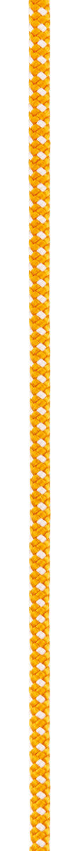 Cords