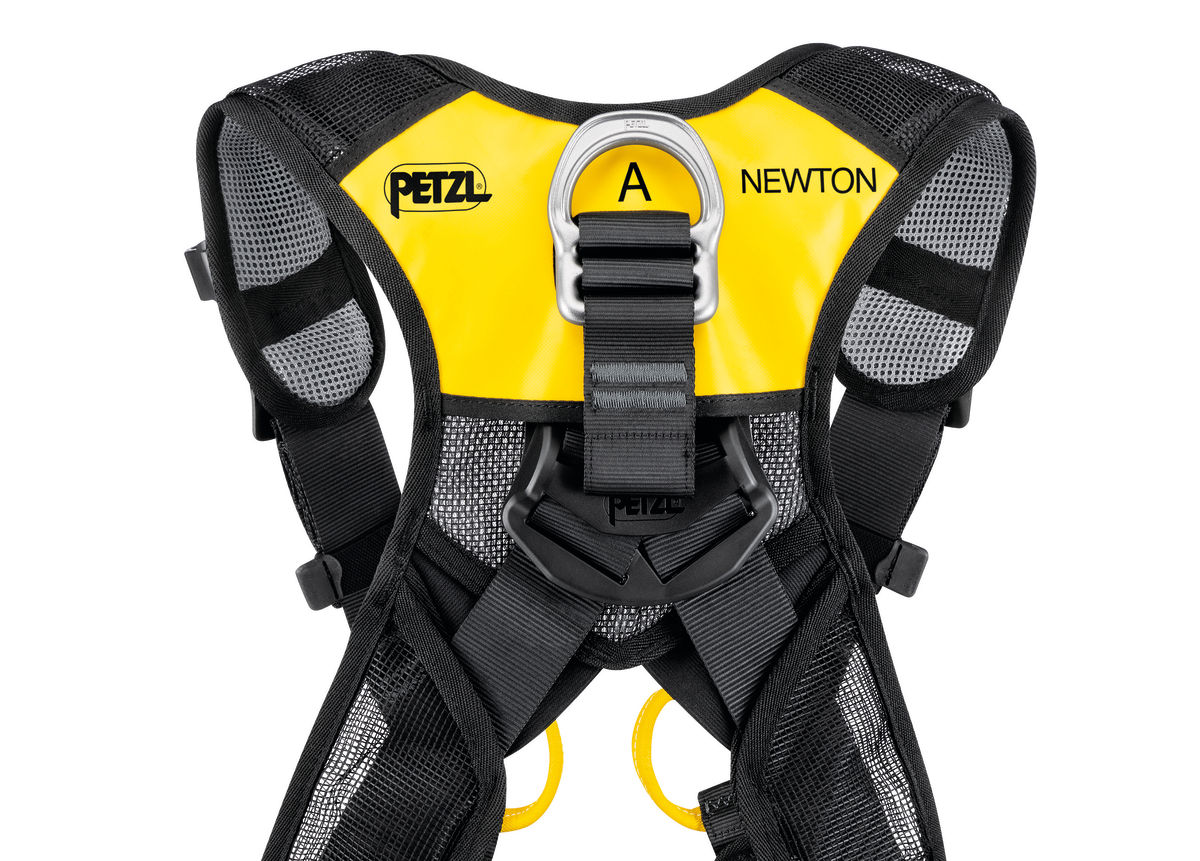 NEWTON EASYFIT International Version